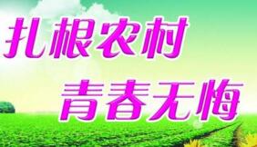 大學生村官選調(diào)生是公務員嗎？村官選調(diào)生和選調(diào)生什么區(qū)別？有編制嗎？
