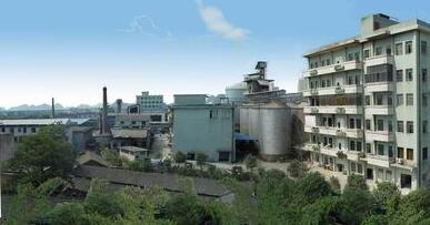 桂林力源集團董事長陳身陸還是丁身援？桂林力源糧油食品集團領導班子