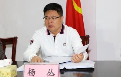 楊叢簡歷：廣西政府發展中心主任楊叢，曾任欽州市委副書記