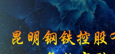 昆鋼集團王素琳簡歷，馬德、陳清泉、王存璘、蘇玲翠、王云萍、錢永祥、孫小躍、官德海、高冰、杜陸軍、趙永平領導班子