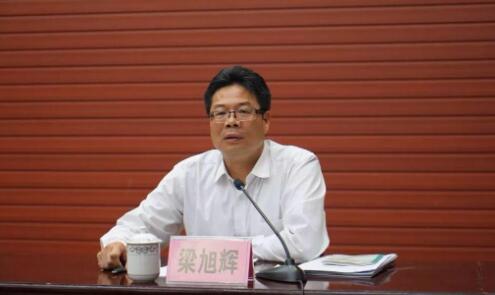 梁旭輝簡歷：廣西自治區黨委第四巡視組組長梁旭輝，曾任柳州市委副書記，崇左市委常委、常務副市長、紀委書記