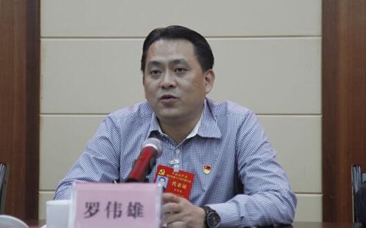 羅偉雄簡歷：梧州市委常委、政法委書記羅偉雄，曾任岑溪市委書記