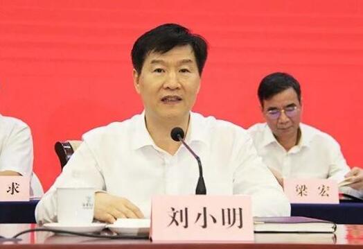 劉小明簡歷：海南省委副書記、省長劉小明，曾任交通運輸部副部長、廣西自治區黨委副書記，蔡麗新任廣西自治區政府副主席