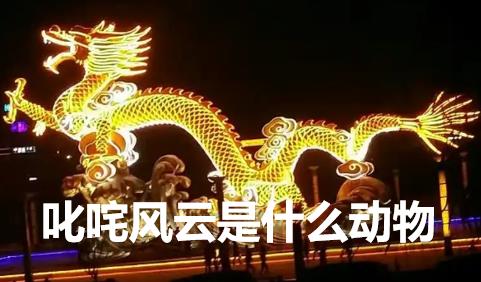 叱咤風云是什么動物？叱咤風云的意思是什么動物的生肖？
