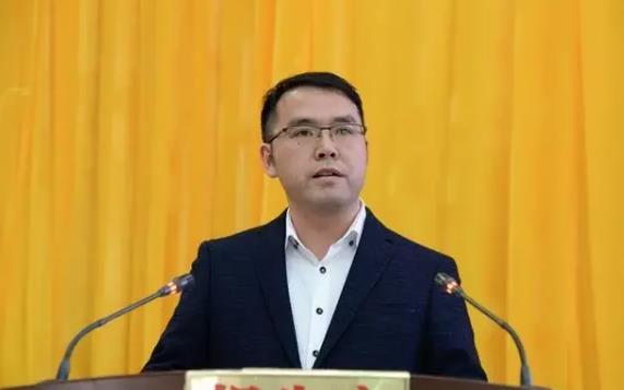 葉繼揚簡歷：河池產投集團總經理葉繼揚接受審查調查，曾任河池巴馬投資集團總經理